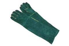 shoulder_green